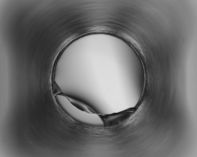 X0000096221330200802151514