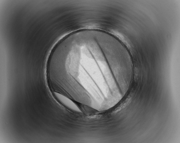 X0000096221331200802151514