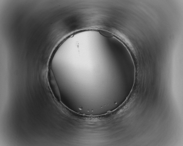 X0000096221332200802151514