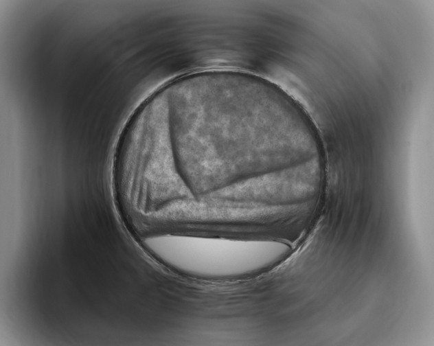 X0000096221333200802151514