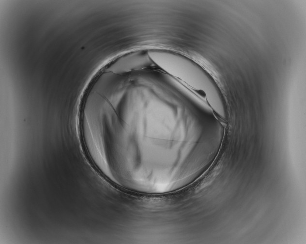 X0000096221334200802151514