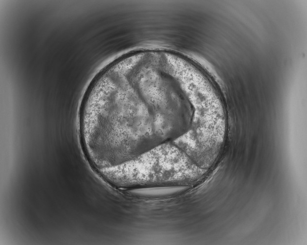 X0000096221335200802151514