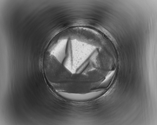 X0000096221337200802151514