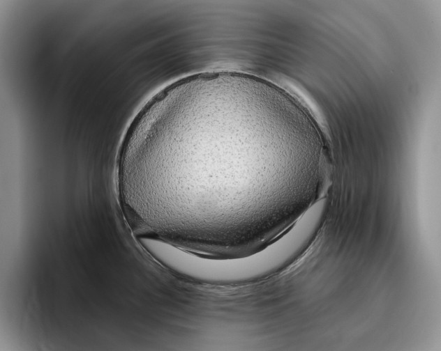 X0000096221340200802151514