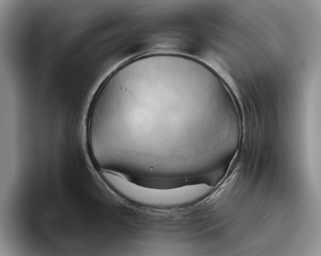 X0000096221341200802151514