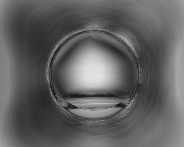 X0000096221342200802151514