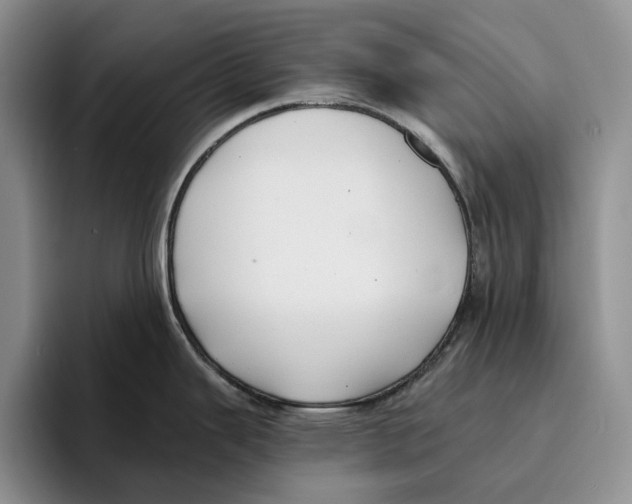 X0000096221343200802151514