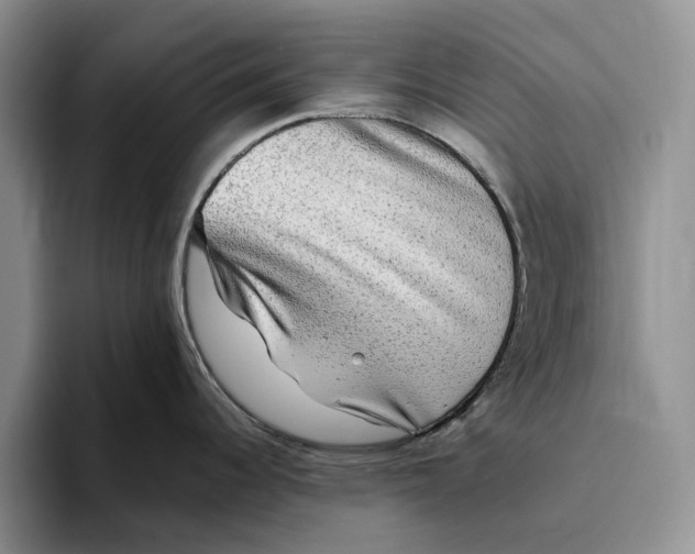 X0000096221344200802151514