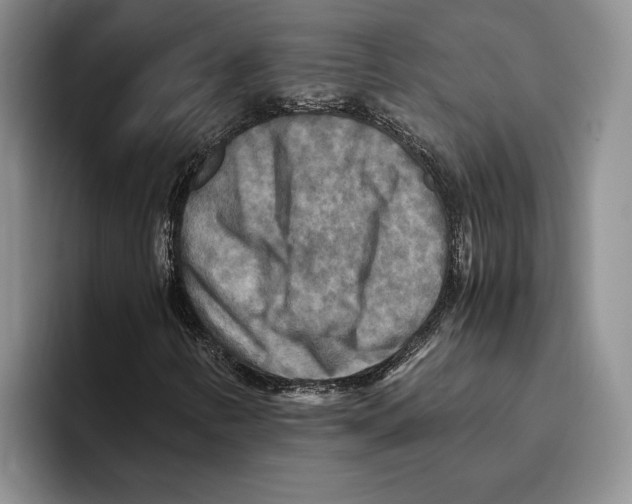 X0000096221346200802151514