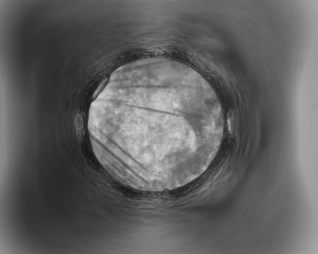 X0000096221347200802151514