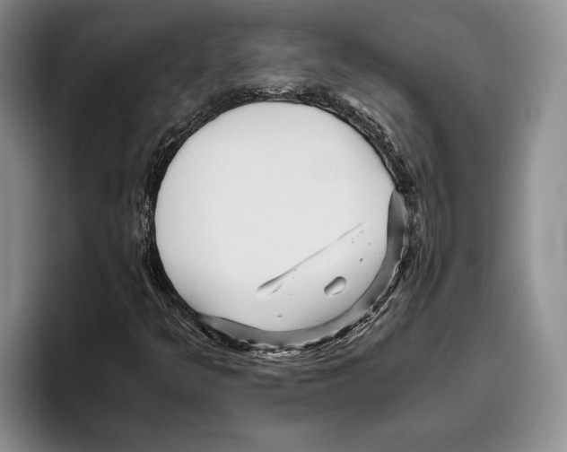 X0000096221349200802151514