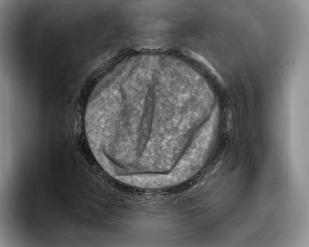 X0000096221350200802151514