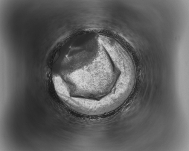 X0000096221351200802151514