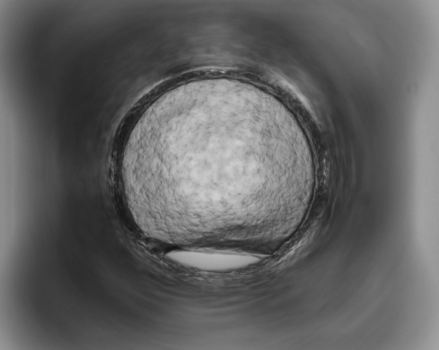 X0000096221352200802151514