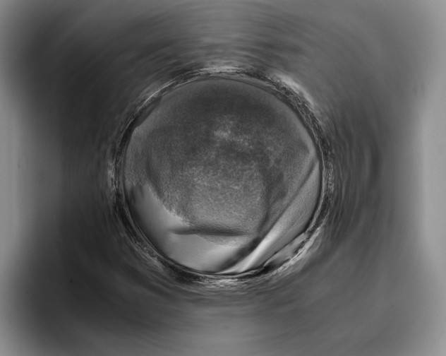 X0000096221353200802151514