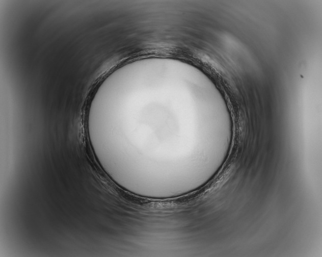 X0000096221354200802151514