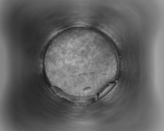 X0000096221355200802151514