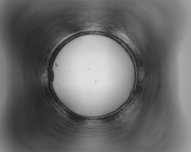 X0000096221356200802151514