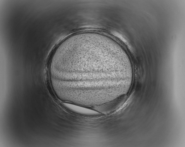 X0000096221357200802151514