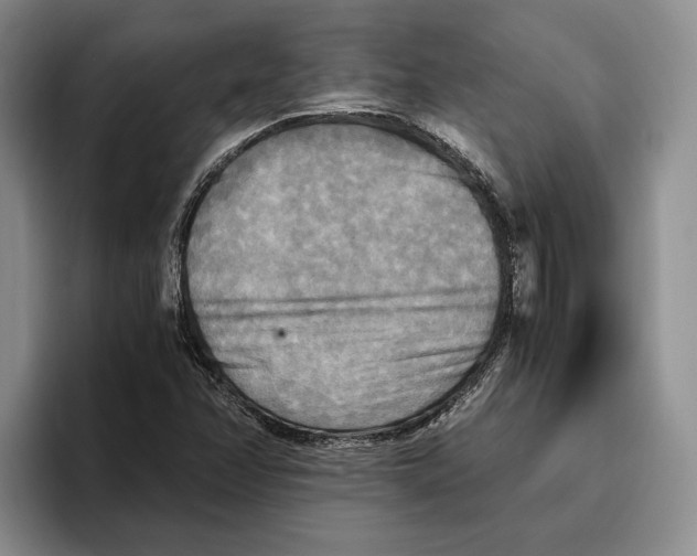 X0000096221358200802151514