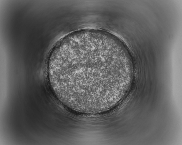 X0000096221359200802151514