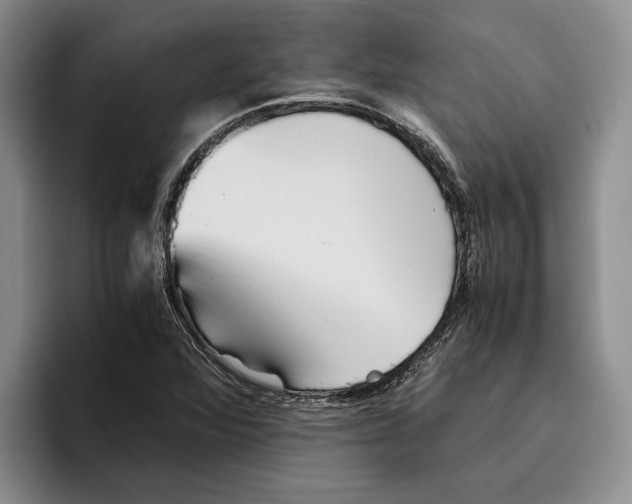 X0000096221360200802151514