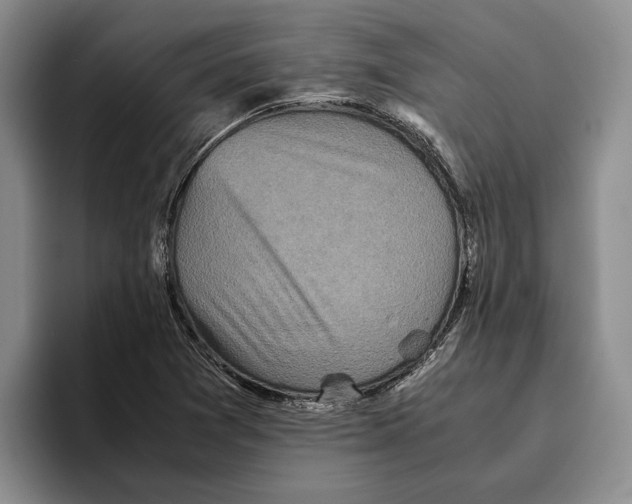 X0000096221361200802151514