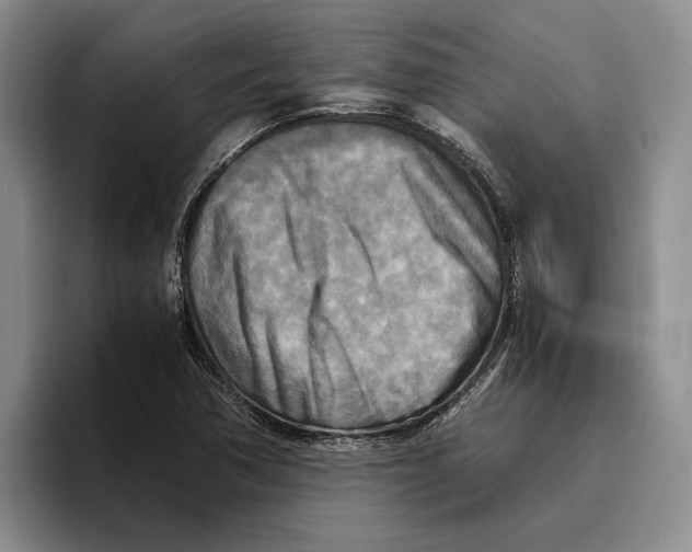 X0000096221362200802151514