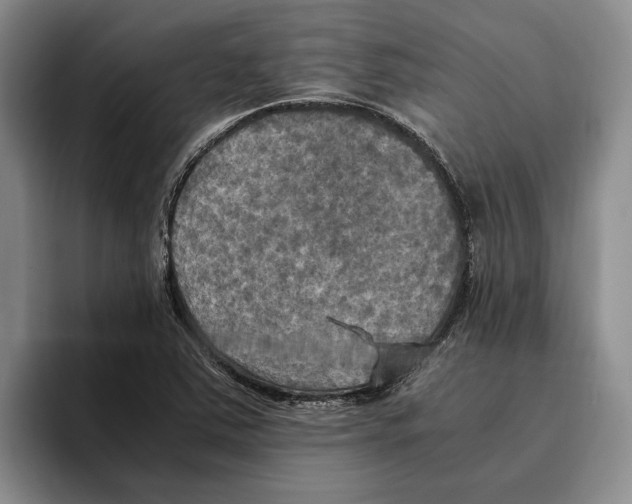 X0000096221363200802151514