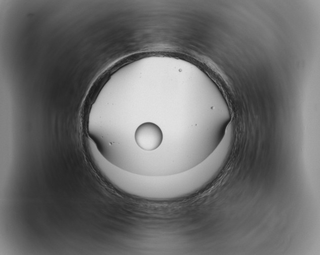 X0000096221364200802151514