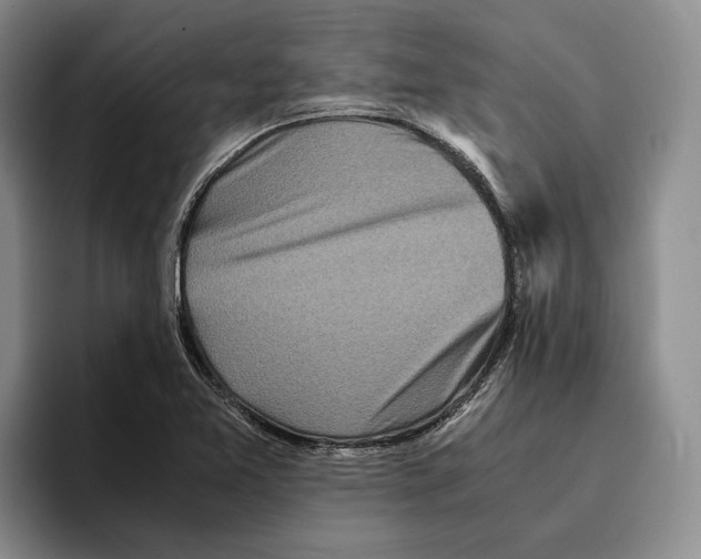 X0000096221365200802151514