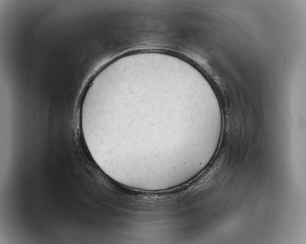 X0000096221366200802151513