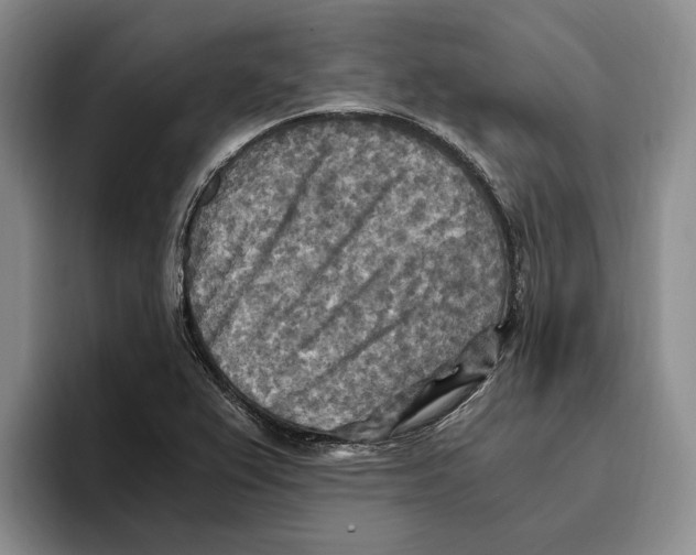 X0000096221367200802151513