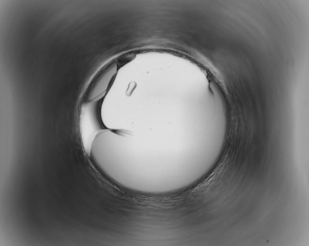 X0000096221368200802151513