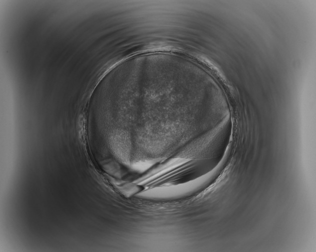 X0000096221369200802151513