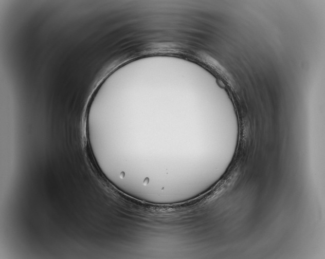 X0000096221370200802151513