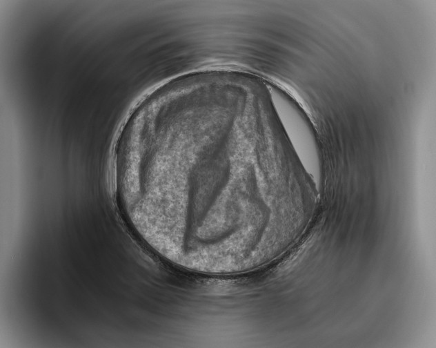 X0000096221371200802151513