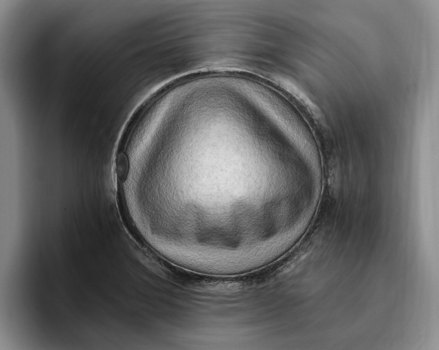 X0000096221372200802151513