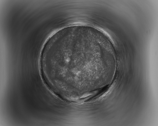 X0000096221373200802151513