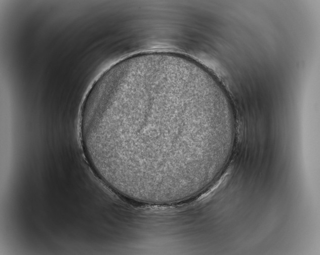 X0000096221374200802151513