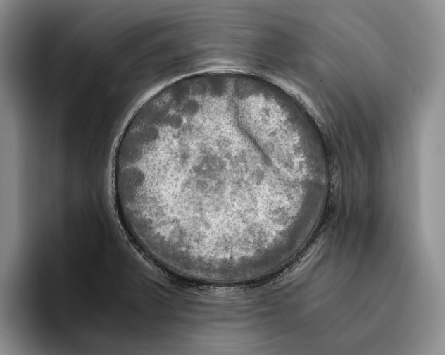 X0000096221375200802151513