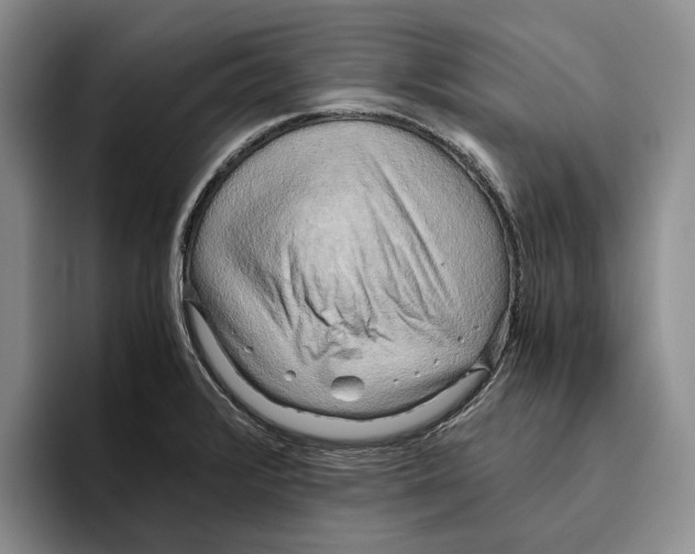 X0000096221376200802151513