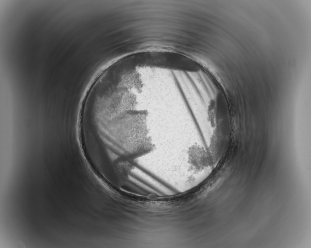 X0000096221379200802151513