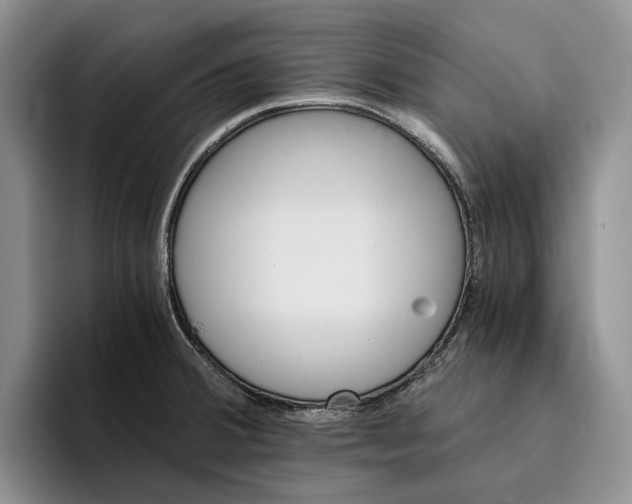 X0000096221380200802151513