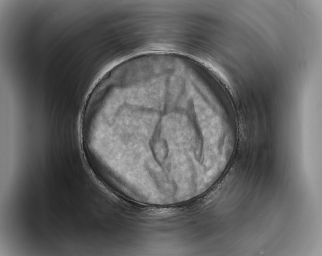 X0000096221382200802151513