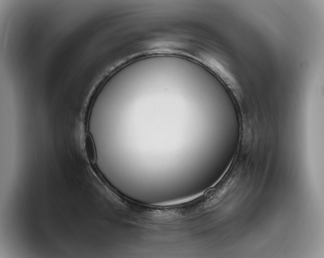 X0000096221384200802151513