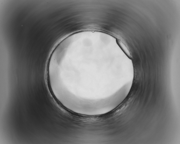 X0000096221387200802151513