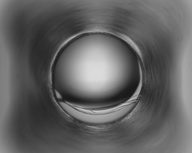 X0000096221388200802151513