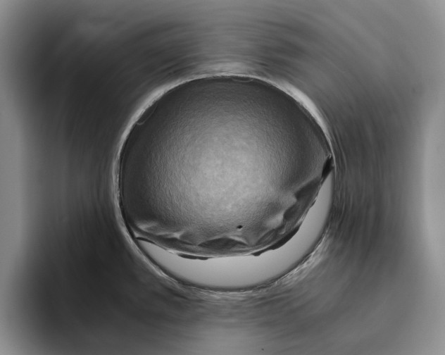 X0000096221389200802151513