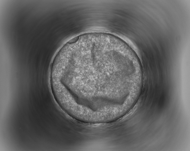 X0000096221390200802151513